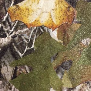 Meet your Posher, Russell